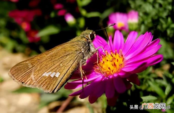 给女朋友道歉挽回女友的话，挽回女友感人的话错误示范