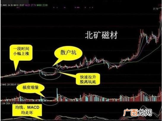 医药板块的十大龙头股代码,即将上市的医药新股
