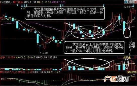 医药板块的十大龙头股代码,即将上市的医药新股
