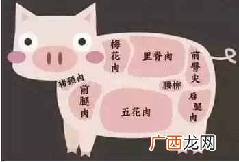 教你在家做美食 里脊肉是什么肉做的