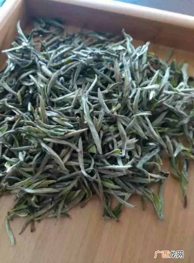 白茶的功效及作用 白茶是什么茶