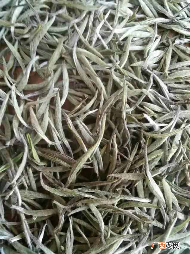 白茶的功效及作用 白茶是什么茶