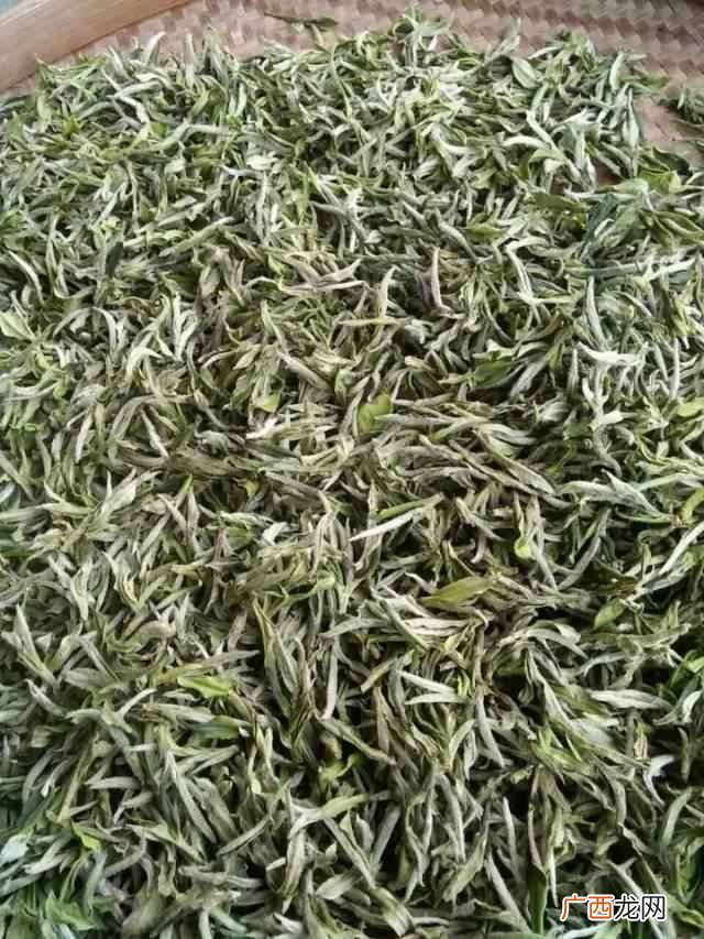 白茶的功效及作用 白茶是什么茶