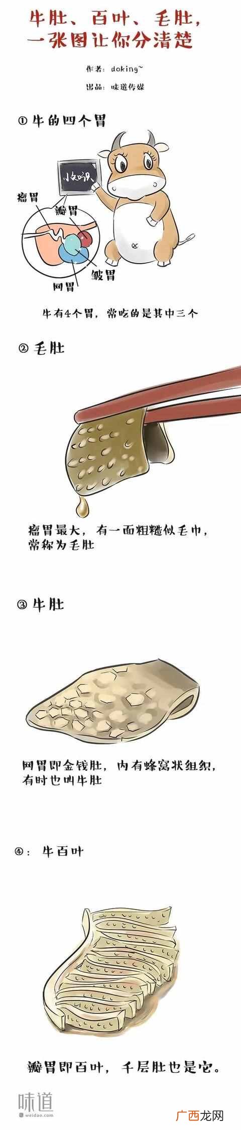 毛肚和百叶有什么区别 毛肚是什么东西