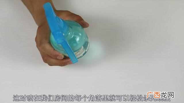 跳蚤怕什么气味（跳蚤为什么会怕有气味的东西