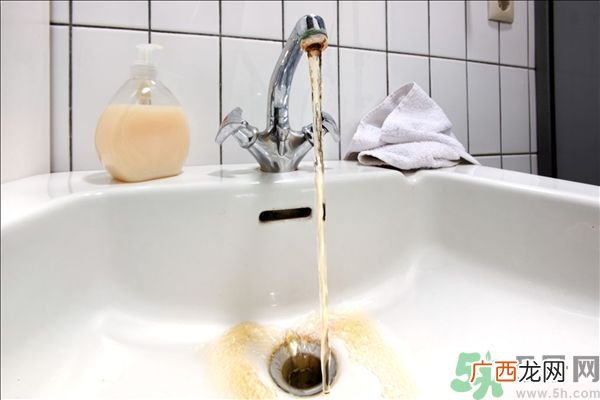 肥皂和沐浴露哪个好?肥皂和沐浴露的区别?