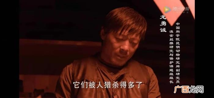高个女演员拍戏时的尴尬，折射了多少演员的尴尬