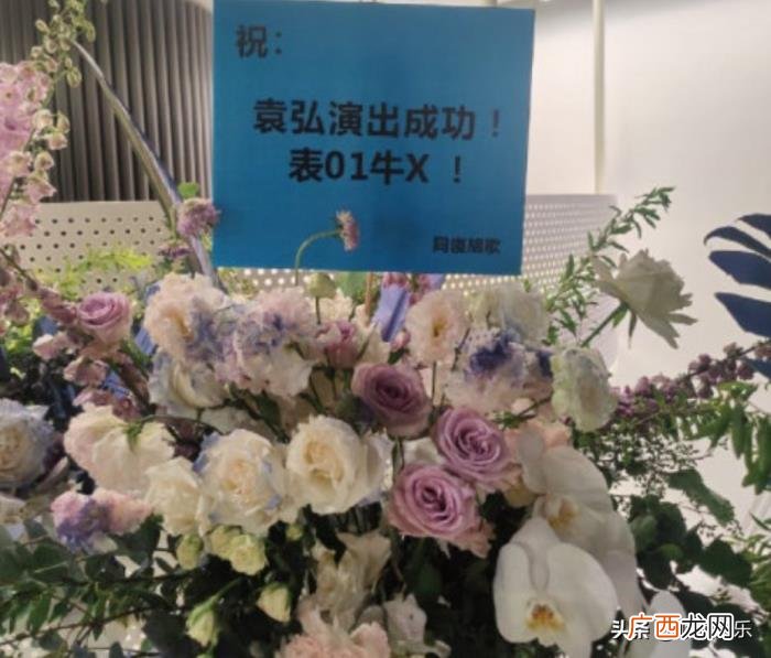 胡歌袁弘宿舍还有谁，胡歌送袁弘花篮的落款是同寝胡歌