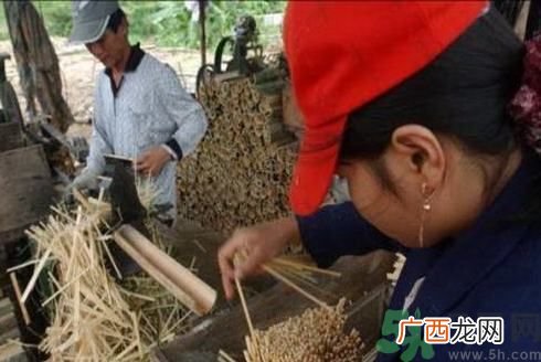 经常用一次性筷子可以吗？一次性筷子有病毒吗？