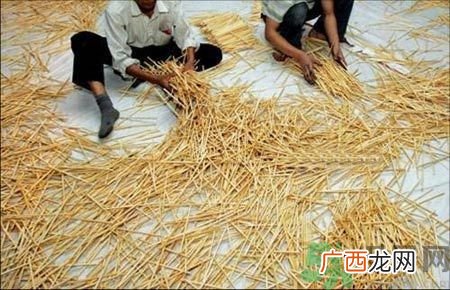 经常用一次性筷子可以吗？一次性筷子有病毒吗？