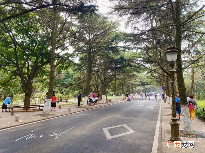 青岛的著名建筑,山东青岛最著名的别墅区