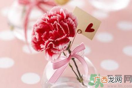 母亲节送几朵康乃馨好？母亲节应该送几朵康乃馨？