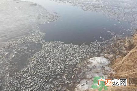 呼伦贝尔河为什么被污染？喝了呼伦贝尔河污染的水会怎么样？