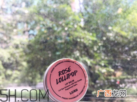 lush润唇膏好用吗?lush润唇膏多少钱?