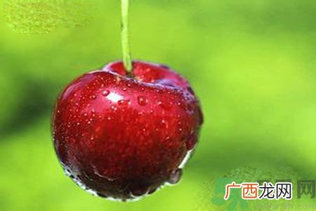 月经期间可以吃李子吗？月经期间吃李子好吗？