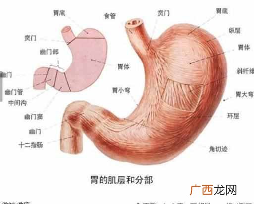 教你怎么缓解胃胀 胃胀吃什么药