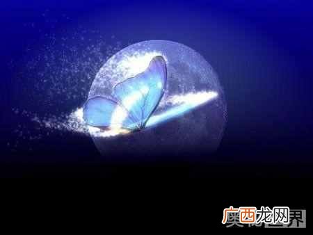 蝴蝶效应出自哪里 蝴蝶效应是什么意思