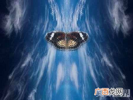 蝴蝶效应出自哪里 蝴蝶效应是什么意思