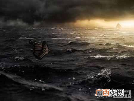 蝴蝶效应出自哪里 蝴蝶效应是什么意思