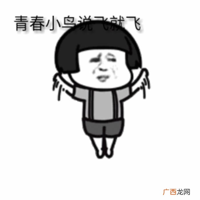 张丹峰杨紫，杨紫、张雨绮、洪欣张丹峰、贾玲、闫...