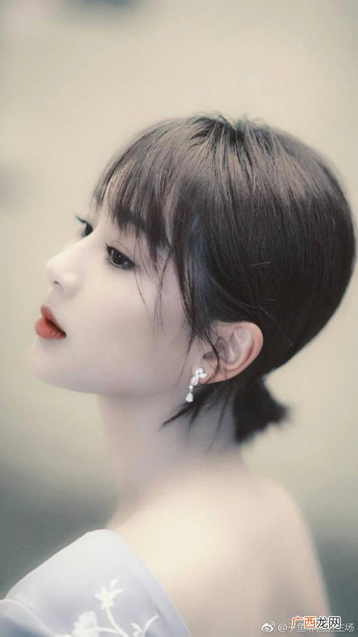 张丹峰杨紫，杨紫、张雨绮、洪欣张丹峰、贾玲、闫...