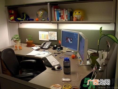 苹果加州死亡事件是怎么回事？苹果加州死亡事件的原因是什么？