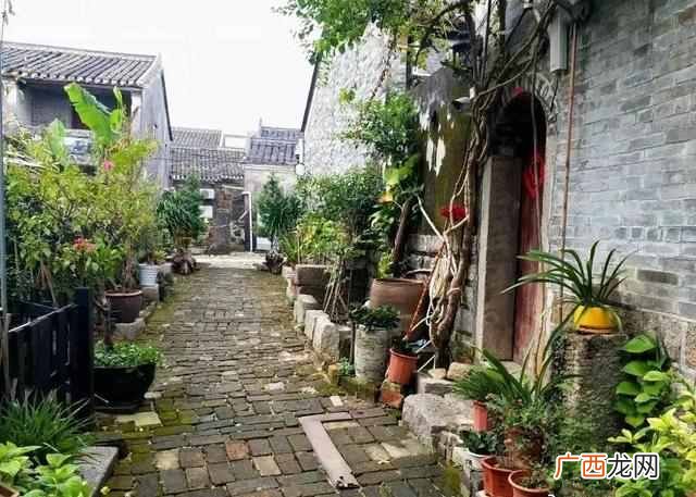 深圳游玩攻略大全 深圳有什么好玩的