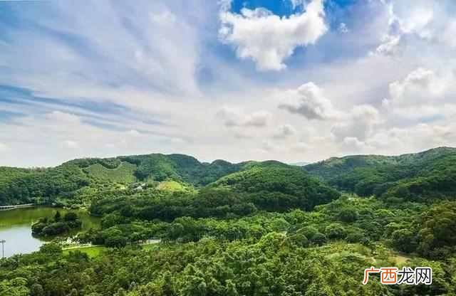 深圳游玩攻略大全 深圳有什么好玩的