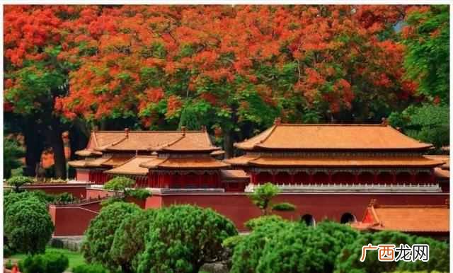 深圳游玩攻略大全 深圳有什么好玩的