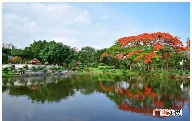 深圳游玩攻略大全 深圳有什么好玩的