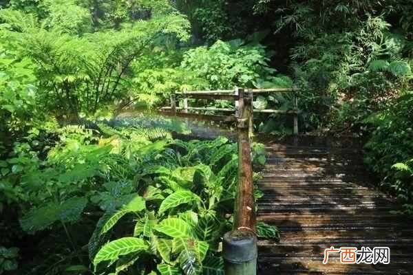 深圳游玩攻略大全 深圳有什么好玩的