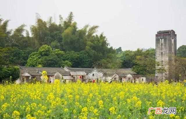 深圳游玩攻略大全 深圳有什么好玩的
