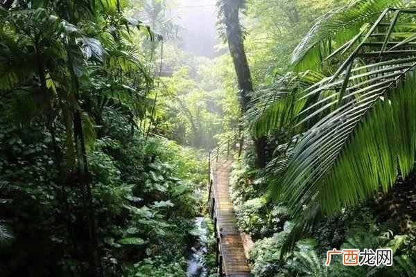 深圳游玩攻略大全 深圳有什么好玩的