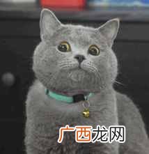 深圳游玩攻略大全 深圳有什么好玩的