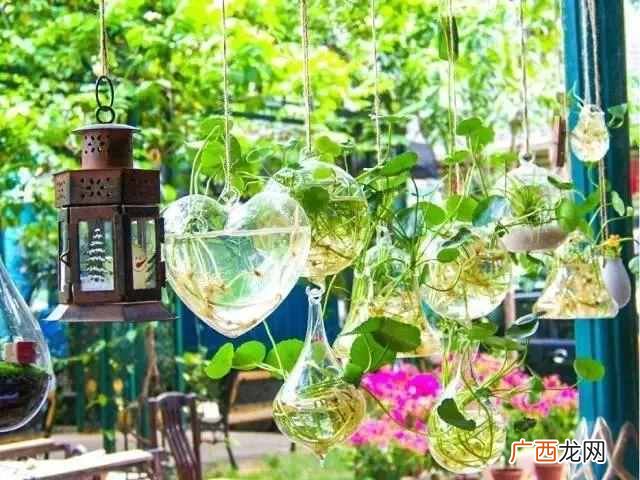 深圳游玩攻略大全 深圳有什么好玩的