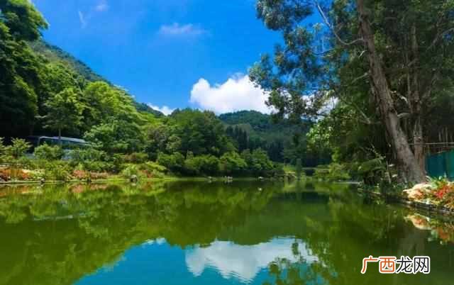 深圳游玩攻略大全 深圳有什么好玩的