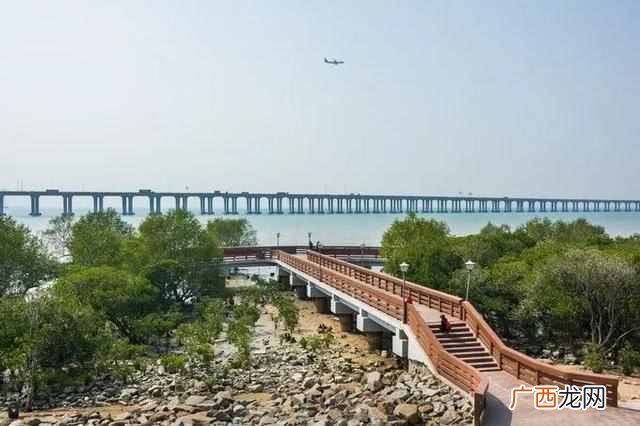 深圳游玩攻略大全 深圳有什么好玩的