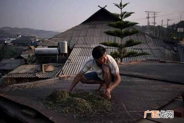 茶叶杀青是做什么 杀青是什么意思