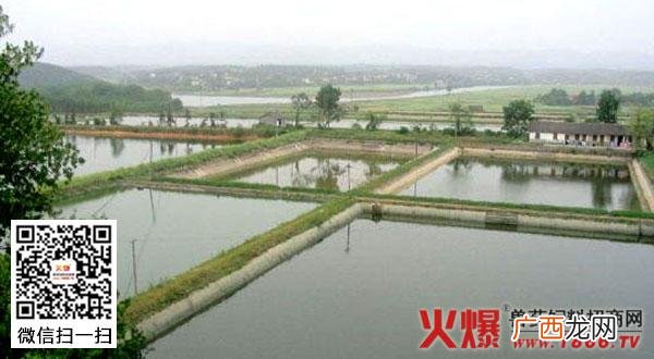 畜牧场选址应注意哪些方面 养殖场地选址方位