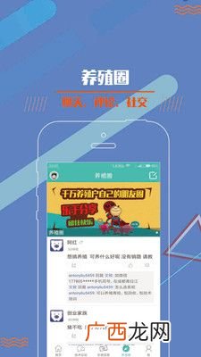 养土鸡 养殖鸡软件