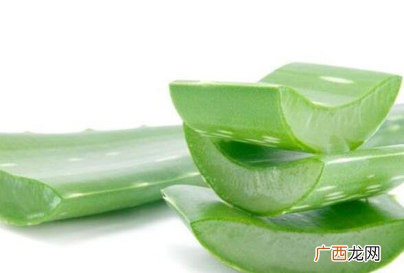 芦荟叶子熬水有什么功效 芦荟叶子熬水的功效与作用