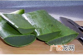 芦荟叶子熬水有什么功效 芦荟叶子熬水的功效与作用