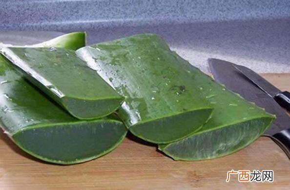 芦荟叶子熬水有什么功效 芦荟叶子熬水的功效与作用