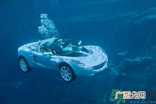 潜水能戴眼镜吗?潜水戴隐形眼镜吗