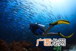 潜水能戴眼镜吗?潜水戴隐形眼镜吗