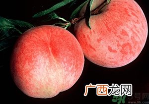 催熟的桃子怎么分辨？催熟的桃子是什么样的