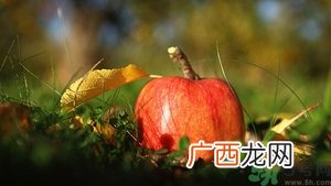 掉地上3秒东西能吃吗？掉地上东西要不要捡起来吃？