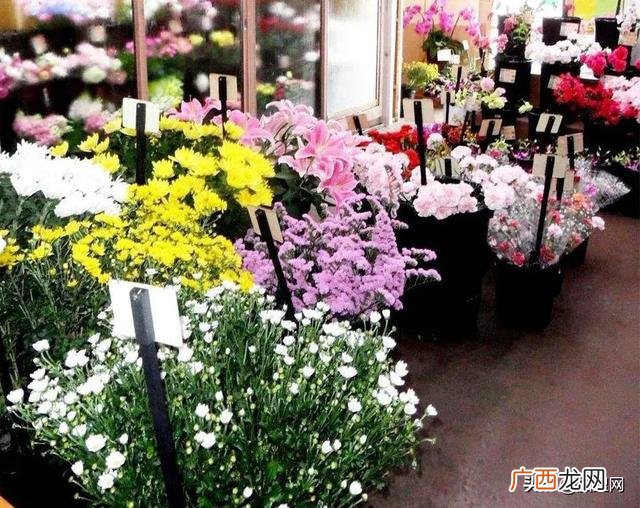 开花店是个坑 新手如何开花店