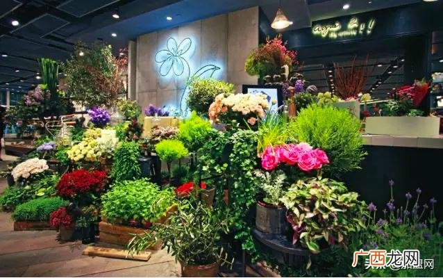 开花店是个坑 新手如何开花店