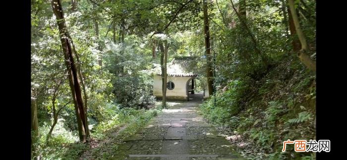 杭州栖霞岭，杭州紫云洞是栖霞岭最奇特天然洞穴